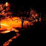 Night-Path